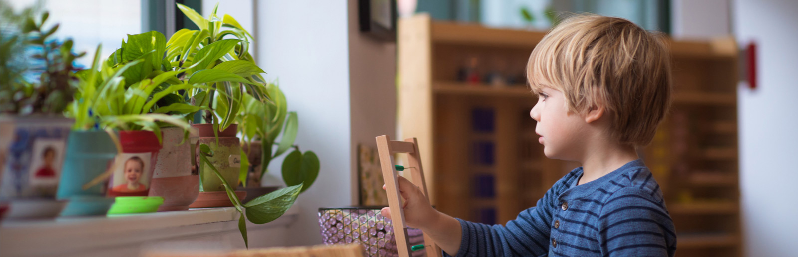 boy looking at growing plants on window sill