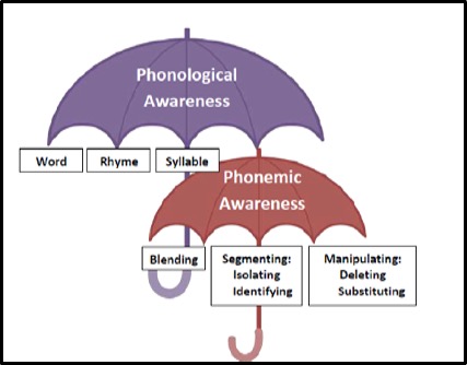 two umbrellas describing the difference between phonological and phonemic awareness