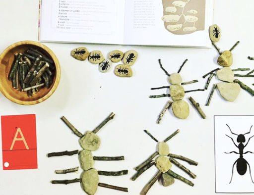 rocks and sticks formed to look like ants