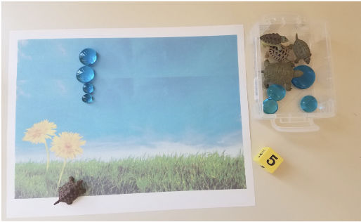picture of a field with turtle toys and counting beads