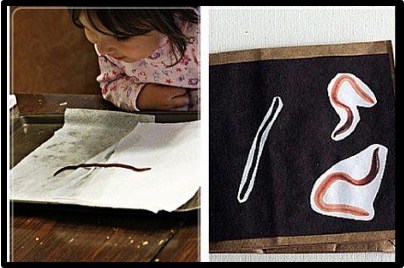 child examining a worm and images of worms collaged on paper