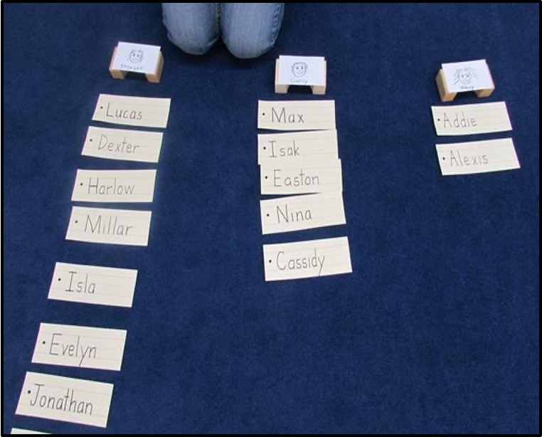 sorting name cards to make a chart about hair texture