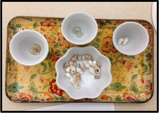 tiny sea shells with sorting dishes