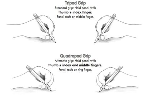 Pencil Grip - Somerville Early Education