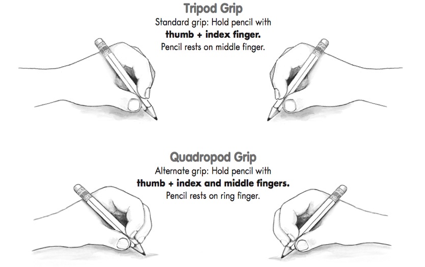 illustration of hands showing tripod grip and quadropod grip
