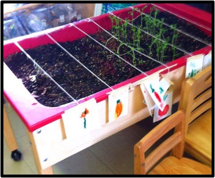 sensory table filled with a classroom garden