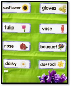 word cards in pocket chart