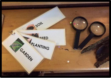 sample of garden study word cards
