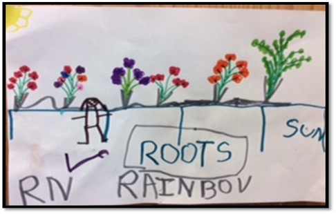 drawing of plants with child written labels