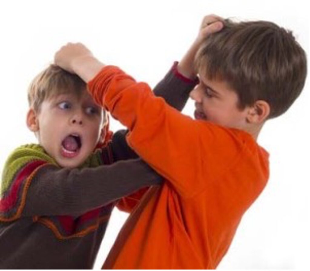 children pulling each other's hair