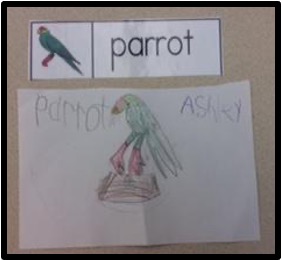 Child's drawing of a parrot