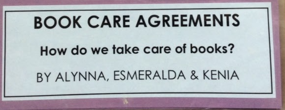 Book Care Agreements, How do we take care of books?