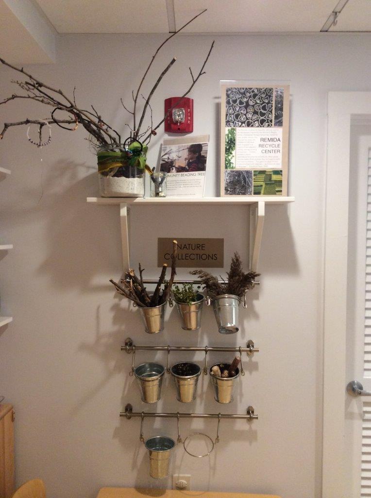 Wall display of natural collections in hanging buckets