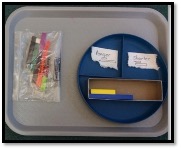 Divided tray to compare Cuisenaire rods