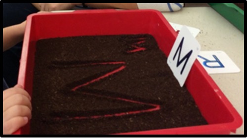 tray with letter M in dirt