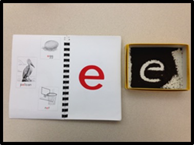 tray with letter "e" in dirt